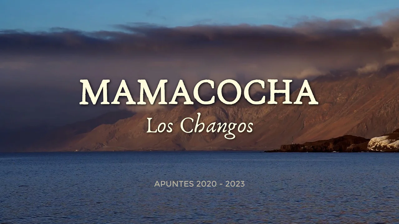 “Mamacocha Los Changos” se exhibirá gratis en la Cineteca PUCV